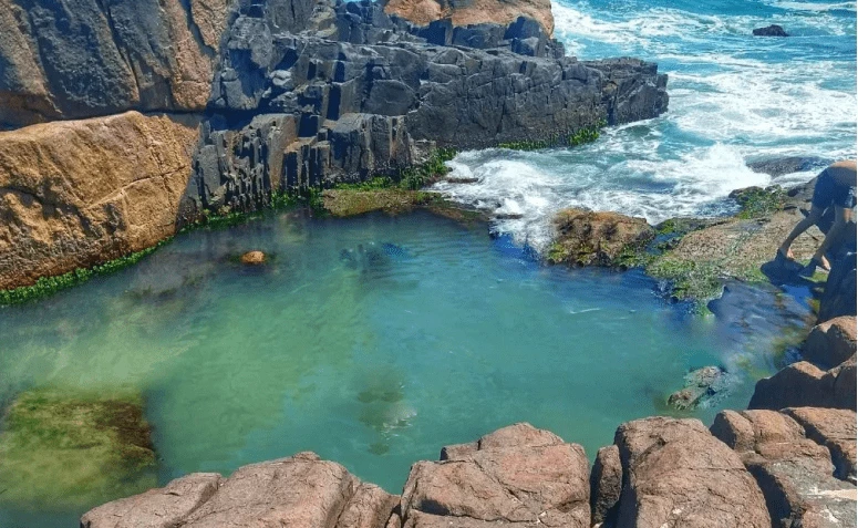 Piscina Natural - Rosa Norte