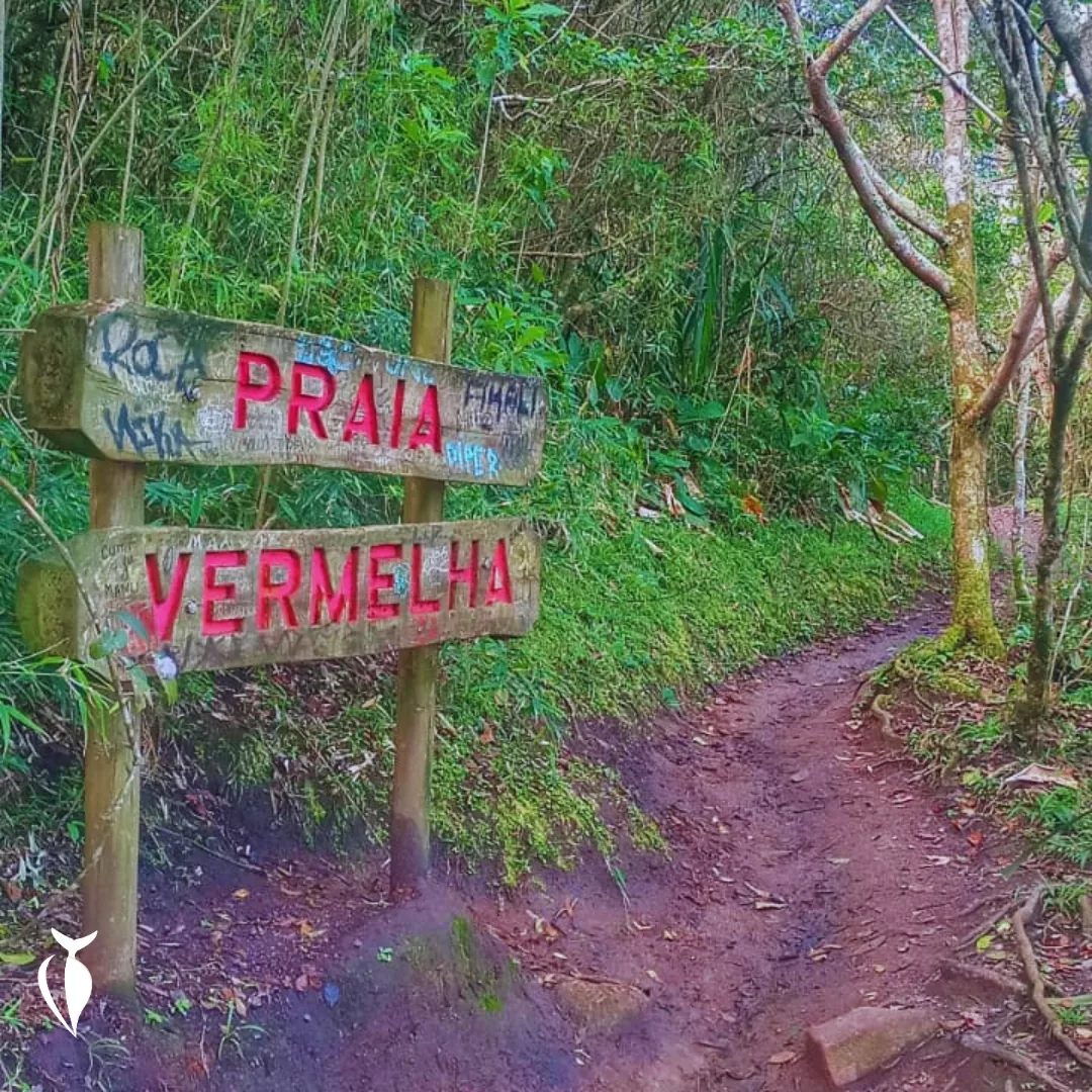 Praia Vermelha