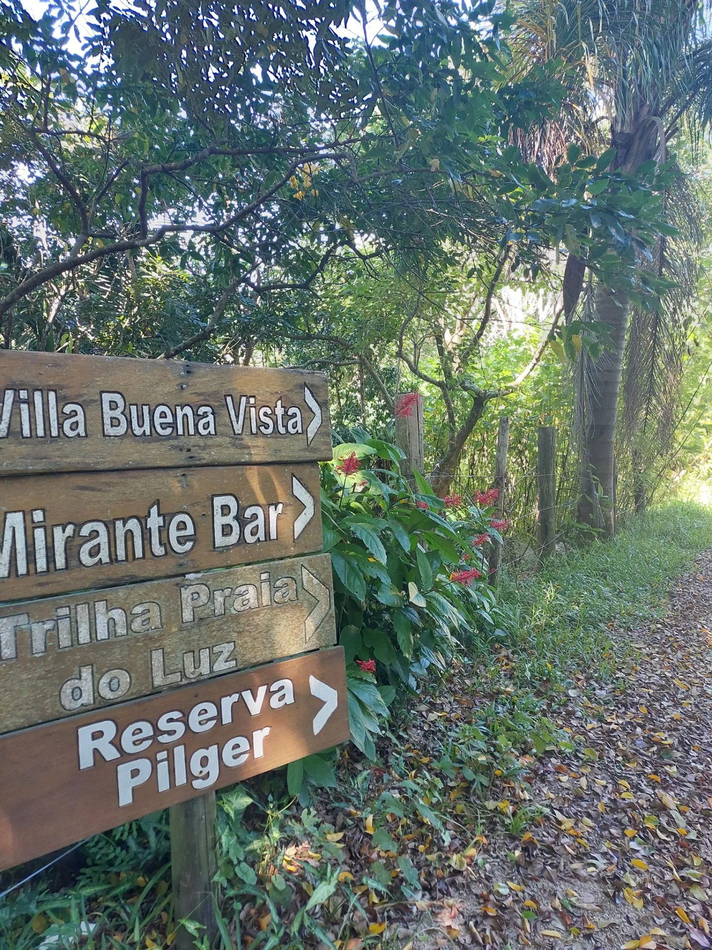 Trilha do Caminho do Rei